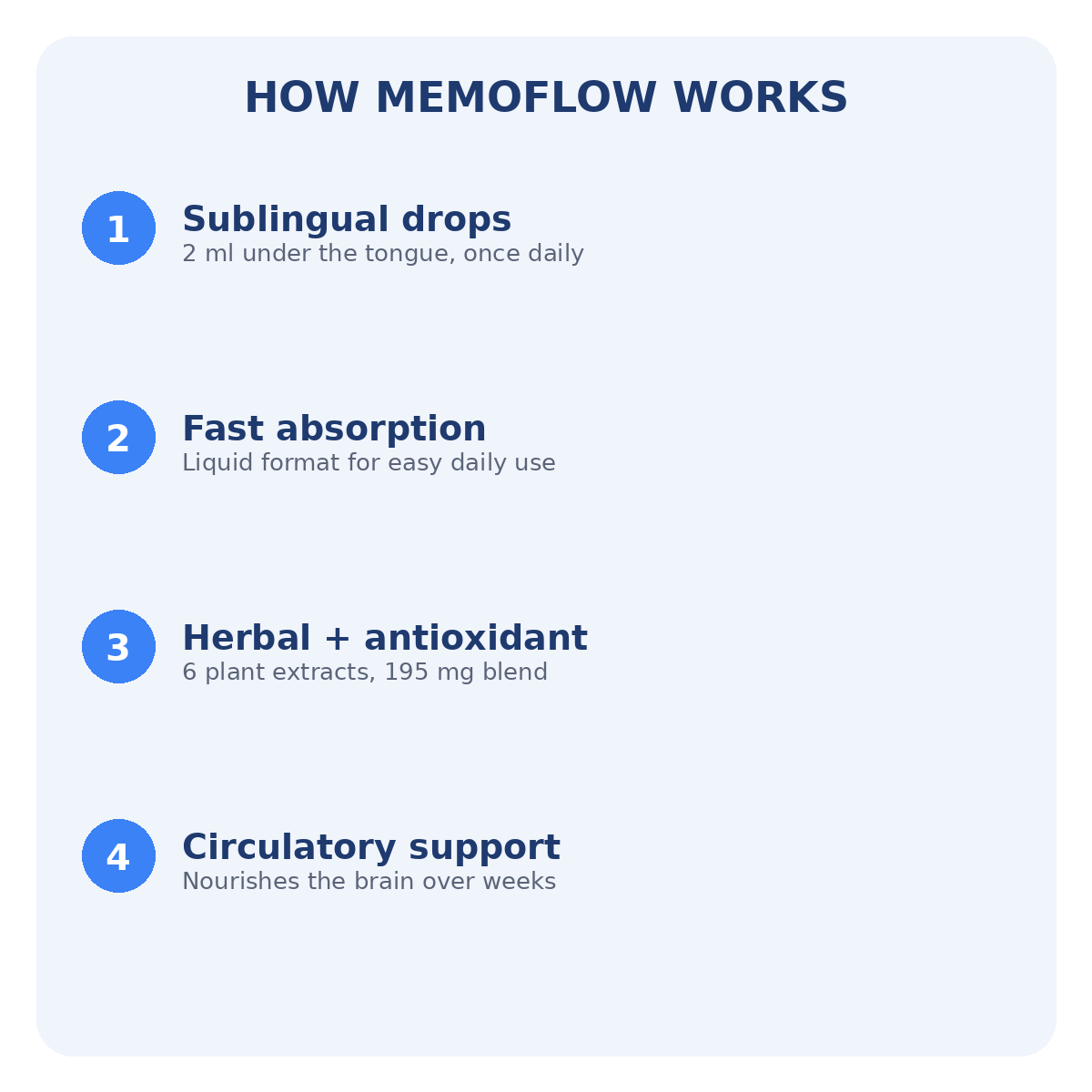 How MemoFlow works
